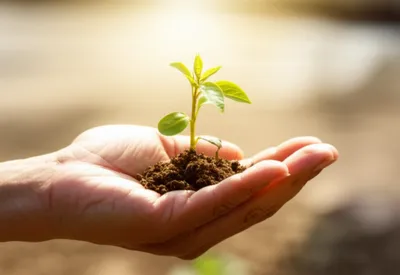 Illustration nerved - Image 1