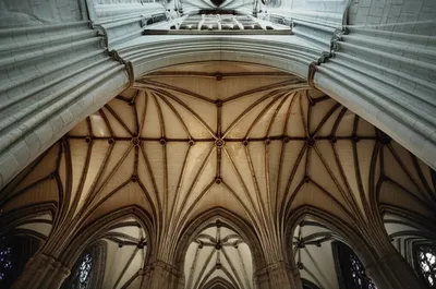 Illustration cusp - Image 1