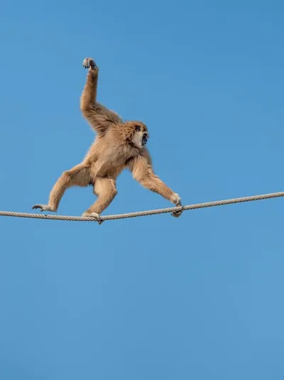 Illustration lar - Image 2