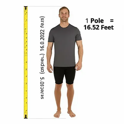 Illustration rod - Image 1