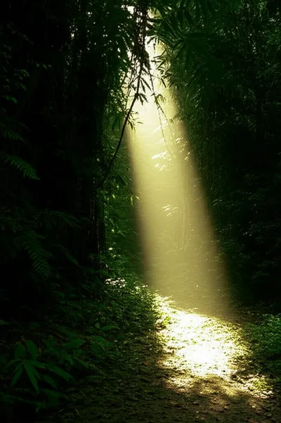 Illustration opened - Image 2