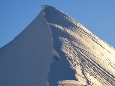 Illustration untouched - Image 1