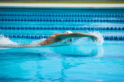 Illustration swimming - Image 1