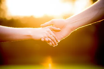 Illustration contracting - Image 1