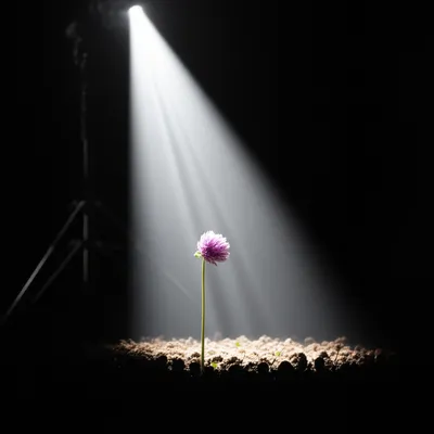 Illustration behold - Image 1