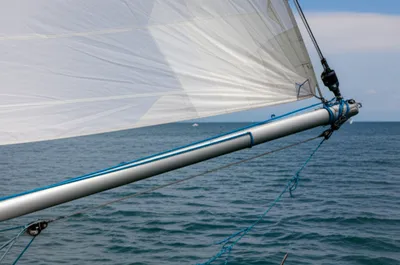 Illustration handing - Image 1