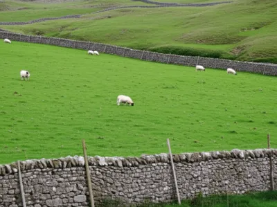 Illustration close - Image 1