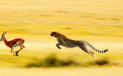 Illustration shoots - Image 1