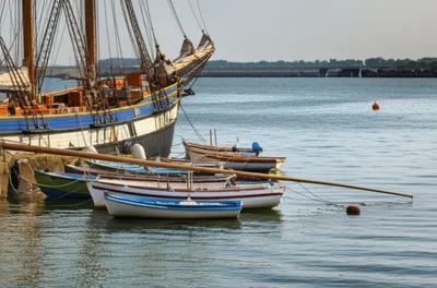 Illustration booms - Image 1