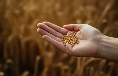 Illustration singles - Image 1