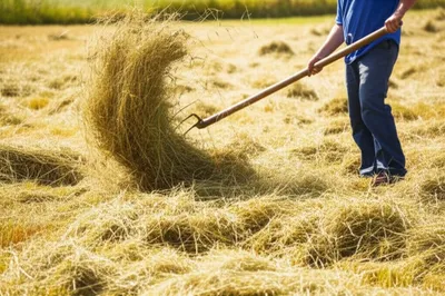 Hình ảnh minh họa ted - Ảnh 1