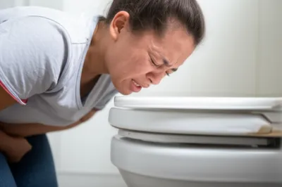 Illustration yorks - Image 1