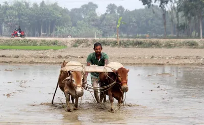 Illustration tilling - Image 2