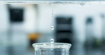 Illustration distilled - Image 1