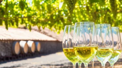 Illustration sacks - Image 1