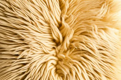 Illustration sheepskins - Image 1