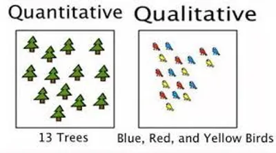 Illustration qualitative - Image 2