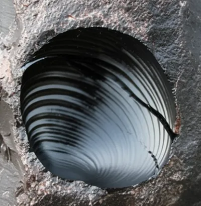 Illustration conchoid - Image 1