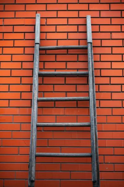 Illustration stales - Image 1