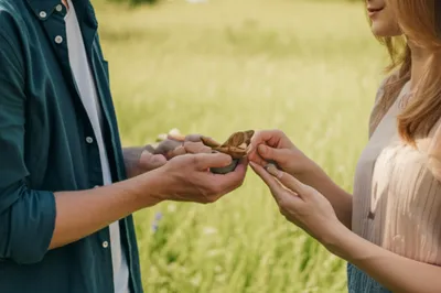 Illustration tokens - Image 1