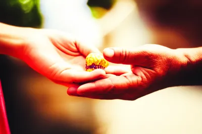 Illustration hansel - Image 1