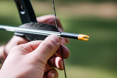 Illustration notched - Image 1