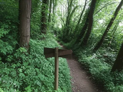 Illustration digressive