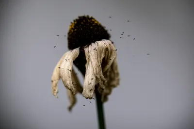 Illustration worries - Image 1