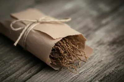 Illustration screw - Image 1