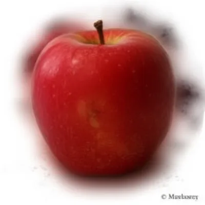 Illustration taints - Image 1