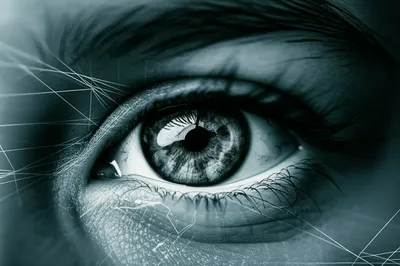 Illustration insight - Image 1