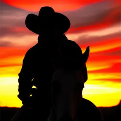 Illustration desperado