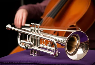 Illustration polishes - Image 1