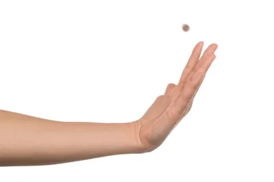 Illustration pitch - Image 1