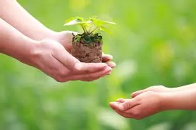 Illustration give - Image 5