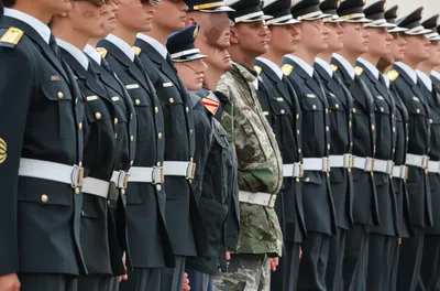 Illustration fagot - Image 1