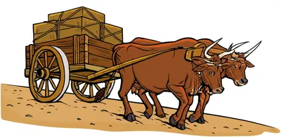 Illustration haul - Image 1