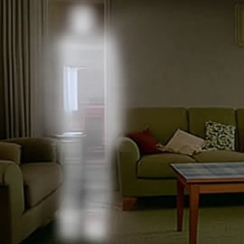 Illustration visuelle de apparitions: Apparitions, fantômes - Image 1