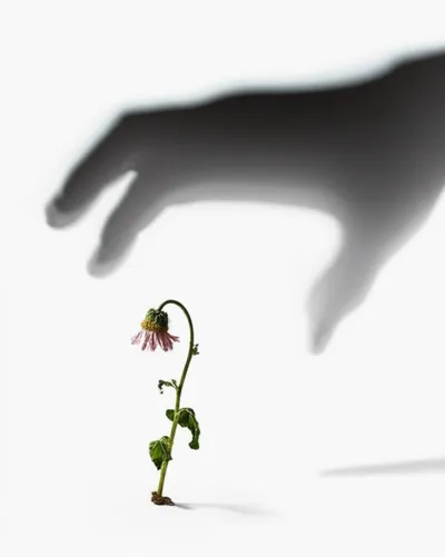 Illustration belittled