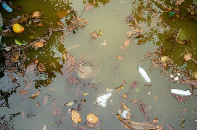 Illustration addle - Image 1