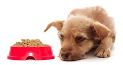 Illustration lethargy - Image 2