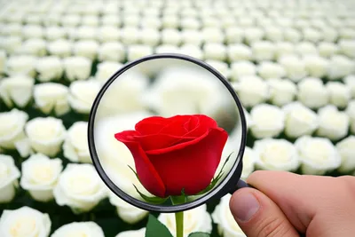 Illustration partial - Image 1