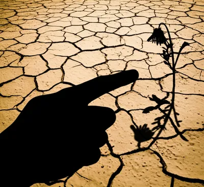 Illustration offending - Image 1