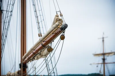 Illustration throat - Image 1