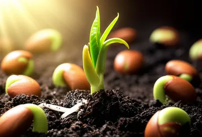 Illustration catalyst - Image 1