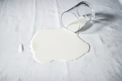 Illustration bish - Image 1