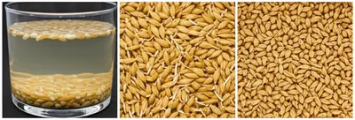 Illustration malted - Image 1