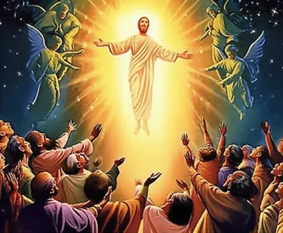 Illustration canonization - Image 1