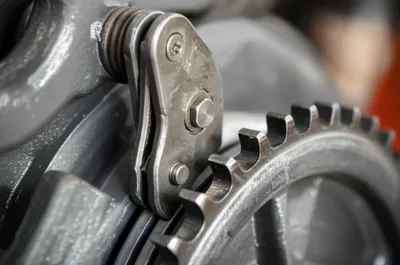 Illustration dog - Image 1