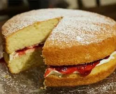 Illustration sponge - Image 2